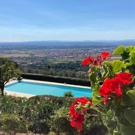 Agriturismo Cima Alla Serra Buti Bagian luar foto