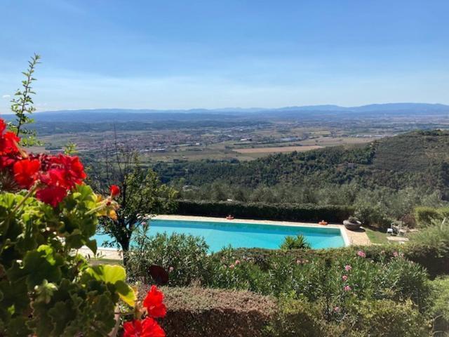 Agriturismo Cima Alla Serra Buti Bagian luar foto