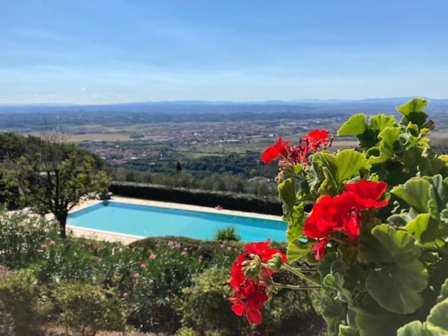 Agriturismo Cima Alla Serra Buti Bagian luar foto