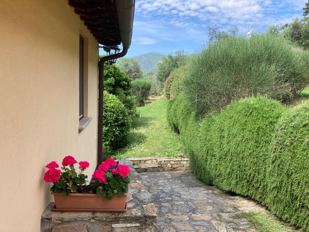 Agriturismo Cima Alla Serra Buti Bagian luar foto