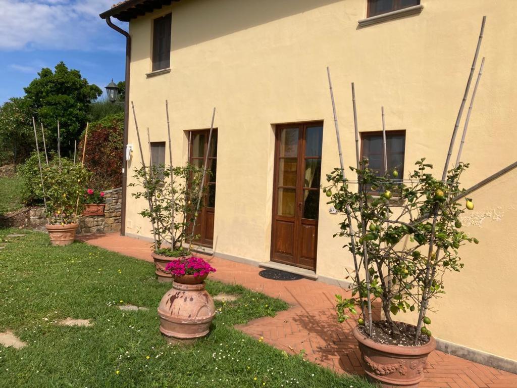 Agriturismo Cima Alla Serra Buti Bagian luar foto