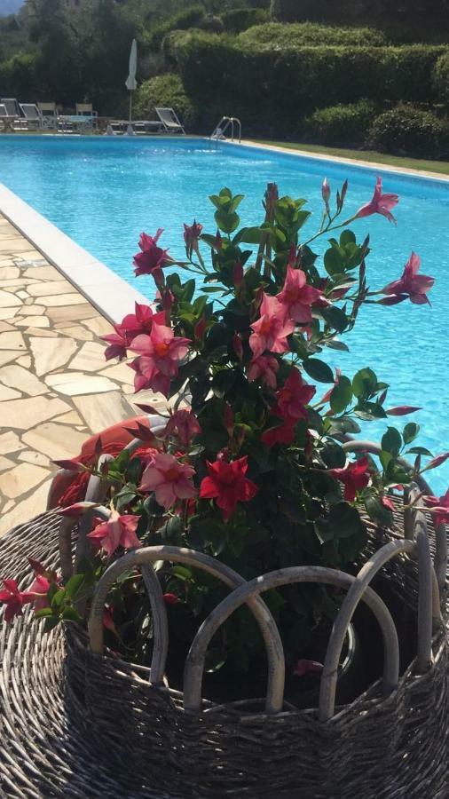 Agriturismo Cima Alla Serra Buti Bagian luar foto